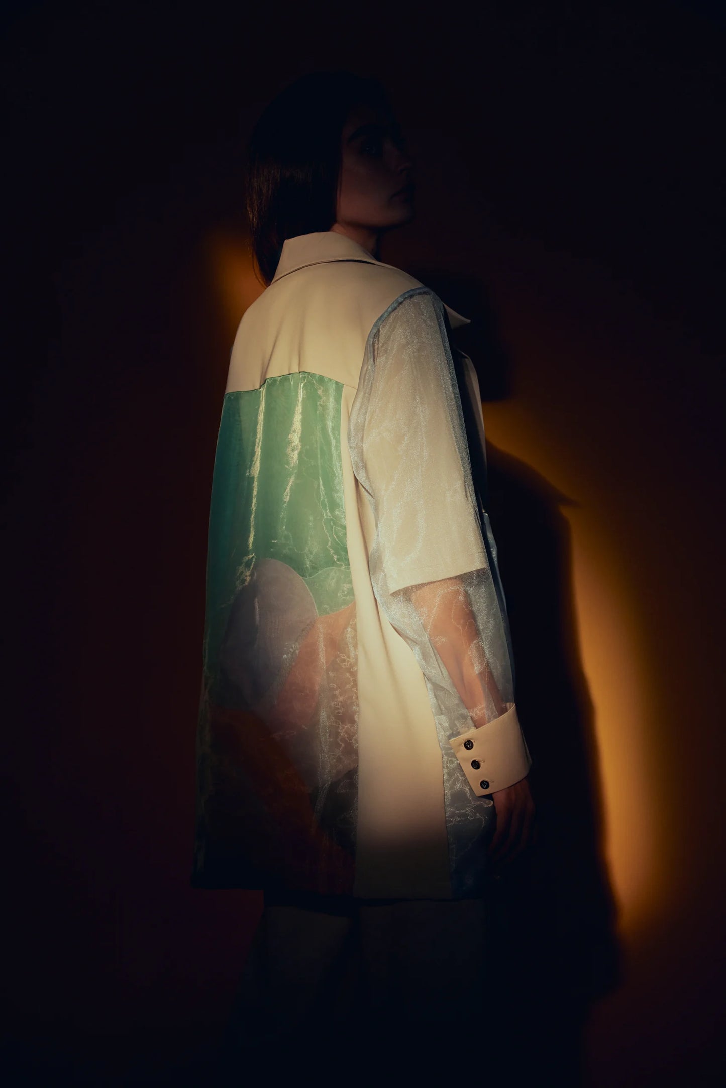 The Dreaming Organza Shirt