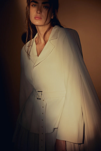 The Pursuit Blazer Style Dress